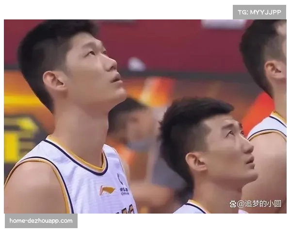 王博胡金秋孙铭徽挡拆体系 广厦核心战术配合高效稳定